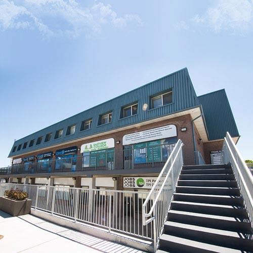 colleges in brampton ontario